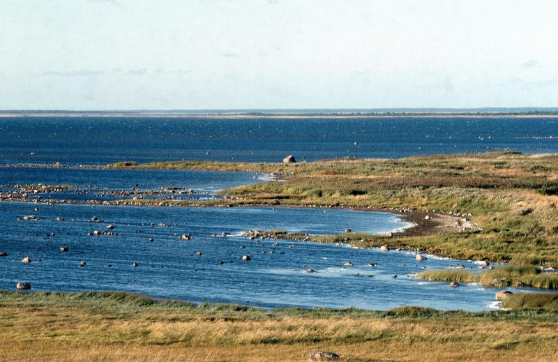 File:Kamardunud rand Säärdevahe nukk Lääne-Saaremaal.jpg